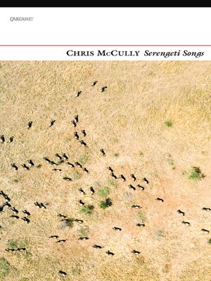 cover image of Serengeti Songs